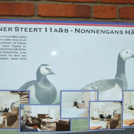 Nonnenganshauser